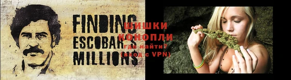 PSILOCYBIN Белокуриха
