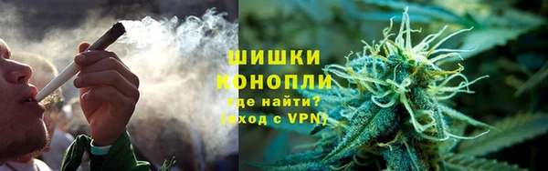 PSILOCYBIN Белокуриха