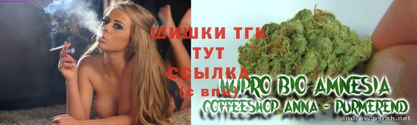 PSILOCYBIN Белокуриха