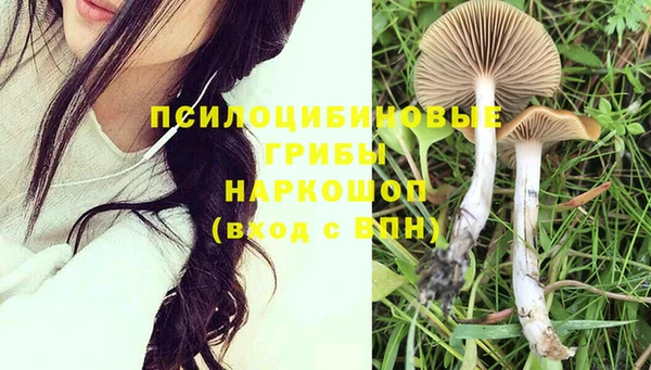 PSILOCYBIN Белокуриха