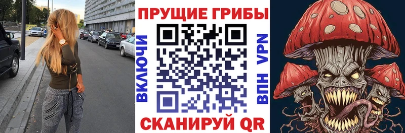 Псилоцибиновые грибы Psilocybine cubensis Верещагино